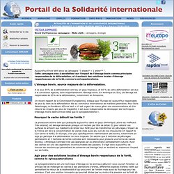 Actualites humanitaire et solidarite internationale - « 3 steaks produits = 1 arbre tropical abattu ! »