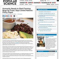 Humanity Needs to Start Farming Bugs for Food, Says United Nations Policy Paper