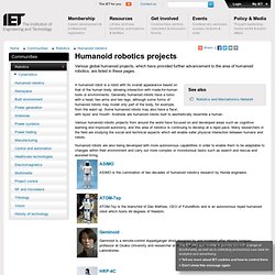 Humanoid robotics projects