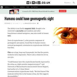 Humans could have geomagnetic sight