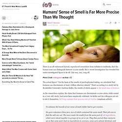 Humans' Sense of Smell is Far More Precise Than We Thought