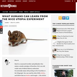 What Humans Can Learn From The Mice Utopia Experiment – Return Of Kings