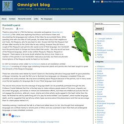 blog » Blog Archive » Humboldt’s parrot