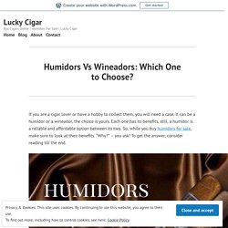 Humidors Vs Wineadors: Which One to Choose?