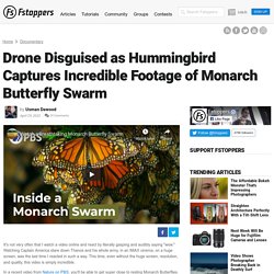 Drone Disguised as Hummingbird Captures Incredible Footage of Monarch Butterfly Swarm