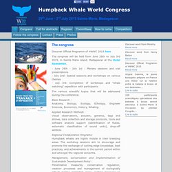 Humpback Whale World Congress