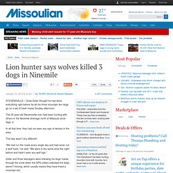 Lion hunter says wolves killed 3 dogs in Ninemile