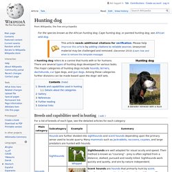 Hunting dog - Wikipedia