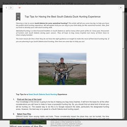 Top Tips for Best South Dakota Duck Hunting