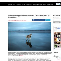 Two Huskies Appear to Walk on Water Across the Surface of a Frozen Lake