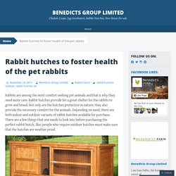 Rabbit hutches to foster health of the pet rabbits