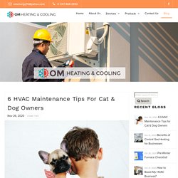 6 HVAC Maintenance Tips for Cat & Dog Owners