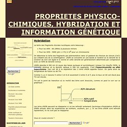 Proprietes physico-chimiques, hybridation et information génétique