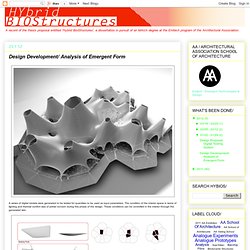 Design Development/ Analysis of Emergent Form