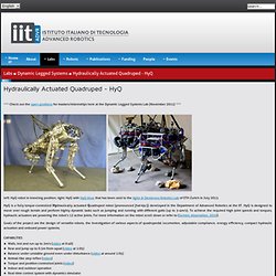 Hydraulically Actuated Quadruped - HyQ