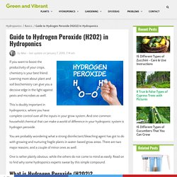 Guide to Hydrogen Peroxide (H2O2) in Hydroponics