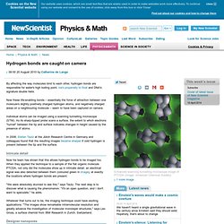 Hydrogen bonds are caught on camera - physics-math - 20 August 2010