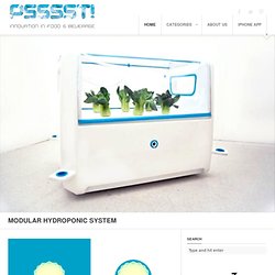 Modular hydroponic system
