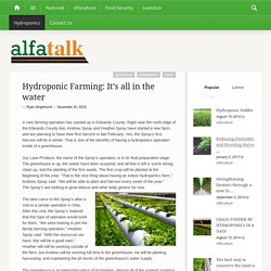 Hydroponic Farming: It's all in the water