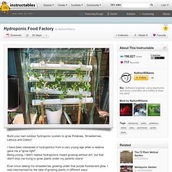 Hydroponic Food Factory