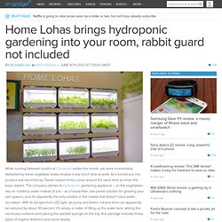 Home Lohas brings hydroponic gardening into your room, rabbit guard not included