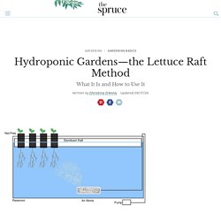 Hydroponic Gardens: The Lettuce Raft Method