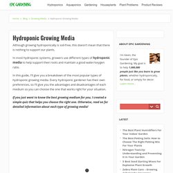 The Only Hydroponic Growing Media Guide You Need