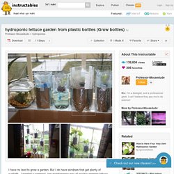 hydroponic lettuce garden from plastic bottles (Grow bottles)