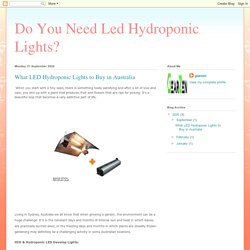 Do You Need Led Hydroponic Lights?: What LED Hydroponic Lights to Buy in Australia