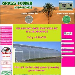 Hydroponic fodder grass system for Livestock worldwide & for drought areas