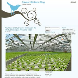 Polyhouse and hydroponic farming are the effective techniques for quality crops. at Saveer Biotech Blog