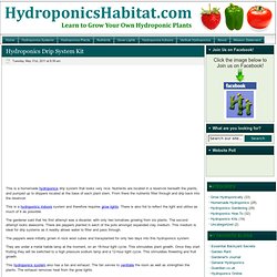 Hydroponics Kits, Hydroponics Indoors, Grow Lights
