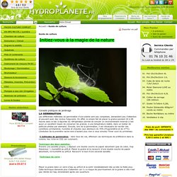 Culture hydroponique mode d emploi