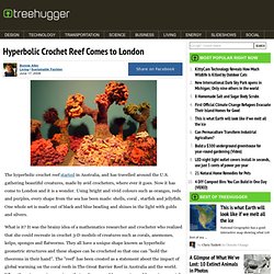 Hyperbolic Crochet Reef Comes to London