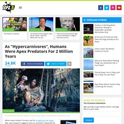As “Hypercarnivores", Humans Were Apex Predators For 2 Million Years