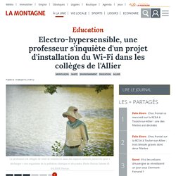 Electro-hypersensible, une professeur s&apos;inquiète d&apos;un projet d&apos;installation du Wi-Fi dans les collèges de l&apos;Allier - Montluçon (03100)