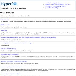 HyperSQL Usage Examples