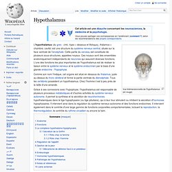 Hypothalamus