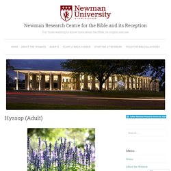Newman Research Centre for the Bible and its Reception