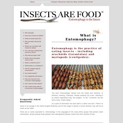 IAF What is Entomophagy?