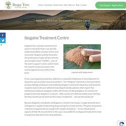 Ibogaine Detox – Iboga Tree Healing House