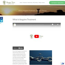 What is Ibogaine Treatment? Ibogaine Therapy Explained