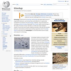 Ichnology