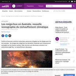 Les méga-feux en Australie, nouvelle iconographie du réchauffement climatique