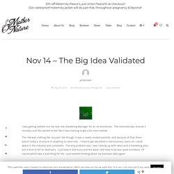 Nov 14 - The Big Idea Validated - Mother & Nature