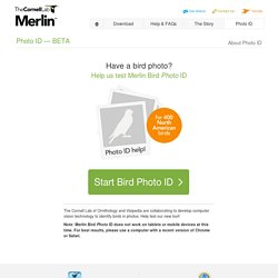 Merlin Bird ID app – Instant Bird Identification Help for 400 North American birds