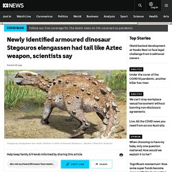 Newly identified armoured dinosaur Stegouros elengassen had tail like Aztec weapon, scientists say