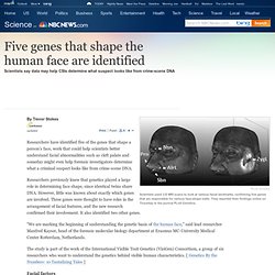 5 face-shaping genes identified - Technology & science - Science - LiveScience