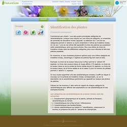 Identifier les plantes - NatureGate