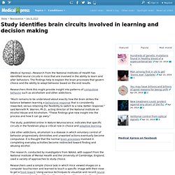 Study identifies brain circuits involved in learning and decision making